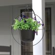 Panacea 17 in. D Metal Round Ring Hanging Planter Black Online