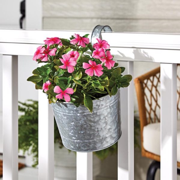 Panacea 6 in. H X 8 in. D Steel Over The Rail Planter Galvanized Cheap