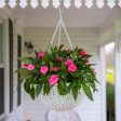 Panacea 9 in. H X 14 in. D Resin Wicker Hanging Basket White Hot on Sale