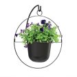 Panacea 17 in. D Metal Round Ring Hanging Planter Black Online